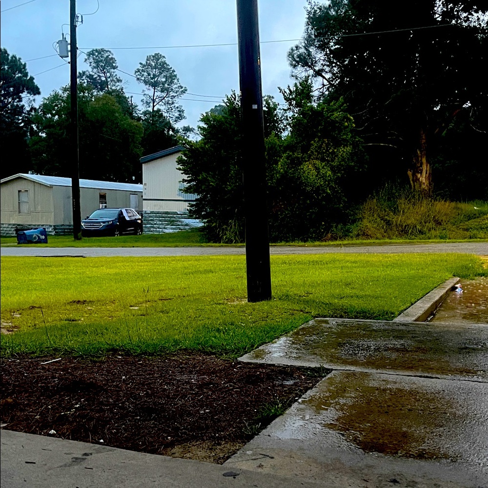 Made for Life Green and Gray Outdoor Scene